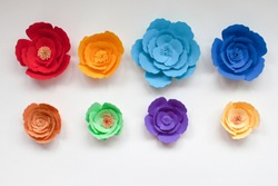 Eight handmade colorful paper flowers in rainbow colors on white background