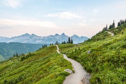 scenic view  in paradise trail area in Mount Rainier,WA,USA