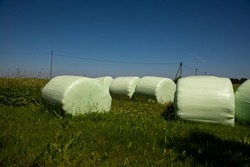 Wrapped stacked silage bales row round white plastic film hay rolls haylage stack rows panorama, horizontal closeup summer meadow grass sunny sky cloudscape clouds baling concept panoramic rural scene