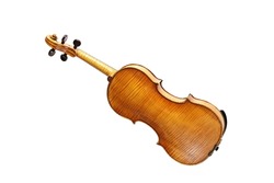 Violin from behind showing the wood grain, also called fiddle, stringed musical instrument from the viol family, isolated on a white background, copy space, selected focus