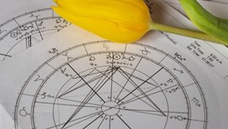 Printed astrology charts with a yellow tulip in the background