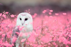 The owl is sitting among the flowers.