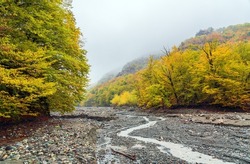 Mountain river bed in autumn season