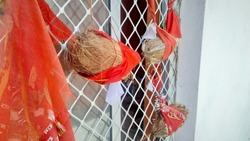 coconut tied with red hindu holy flag in a temple showing India culture of devotion