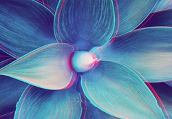 Abstract close up of Agave plant with glitched out effect floral turquoise pattern, neon light, digital signal