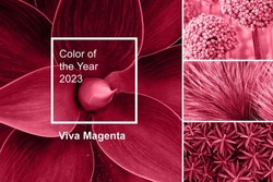 Trendy color of year 2023 - Viva Magenta. Fashion color palette sample. Abstract floral pattern swatch colors collage. Viva Magenta