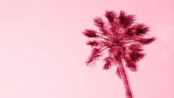 Abstract palm tree against clear sky background with trendy glitch effect and toned in color of year 2023 Viva Magenta. Low angle view template with copy space