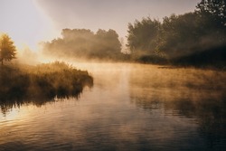Fantastic foggy river with fresh green grass in the sunlight. Sun beams through tree. Dramatic colorful scenery. Calm river in autumn at the sunrise