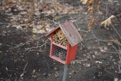 Insect hotel in the garden. Berlin, Germany