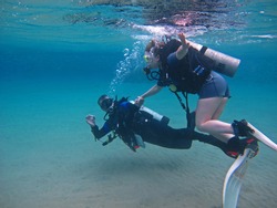                            Diving instructor and student in underwater exercise. Instructor teaches student to admire. Underwater scuba diving education and training.    
