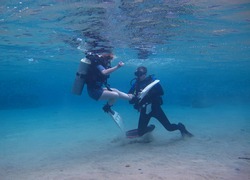                   Diving instructor and student in underwater exercise. Instructor teaches student to admire. Underwater scuba diving education and training.             