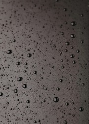 Water drops on leather background. Black