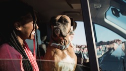 Happy hipster people having fun in summer vacation in car during summer vacation - Young multiracial friends in camper van - Focus on dog face