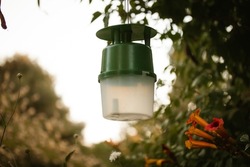 Still Life with bird feeder on backyard in botanical garden. A green feeder for feathers hanging from tree branch in city park. Metal lamp among beautiful blossoming orange flowers in summer orchard.