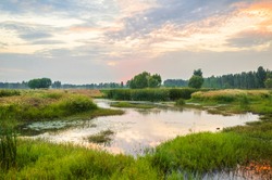 Ecological wetland environment at dusk