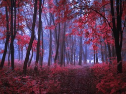 Dark mysterious forest in pink tones. Mystical autumn forest in the morning fog. Beautiful background.