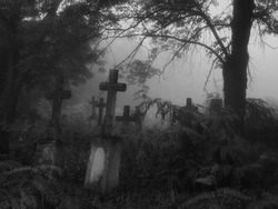 Dark spooky cemetery in the fog. Crosses and graves in the old abandoned cemetery. The atmosphere of death and horror.