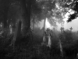 Mystical creepy cemetery in the fog. Crosses and graves in the old abandoned cemetery. Place of burial.