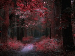 Mystic foggy forest in pink tones. Dark autumn forest in the fog. Mysterious woods. Beautiful nature.