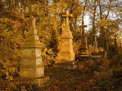 Old European cemetery with crosses. Abandoned graves on a sunny autumn morning. Monuments of Christianity.