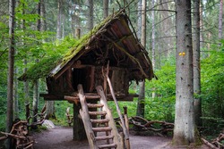 Witch wooden house, built on a tree in the middle of green forest.