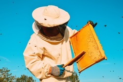 A beekeeper in a protective suit and gloves shakes bees with a brush from a honey frame against a background of green bushes and blue sky. Eco apiary in nature. Pumping out honey. Beekeeping