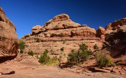 dramatic red  rock formations along the collins spring trail  in the grand gulch area of cedar mesa nera blanding, utah 