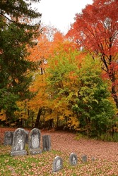 colorful fall foliage with maple trees next to the eighteenth century  german lutheran flohr's church cemetery in mcknightstown,  near gettysburg, pennsylvania