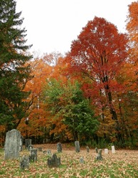 colorful fall foliage with maple trees next to the eighteenth century  german lutheran flohr's church cemetery in mcknightstown,  near gettysburg, pennsylvania