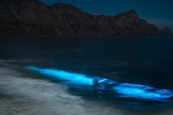 Fluorescent blue waves in bay