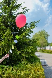 A female hand holds a red balloon against the background of a green fir tree in a city park.