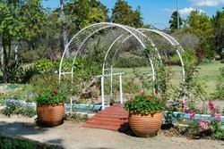 Two metal arbor with ivy plant decoration in the garden background. Two steel pergola with climber tree decorative in the park 