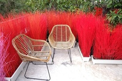 Rattan chairs in the garden seating corner, cement floor, surrounding hay painted in bright red colors.