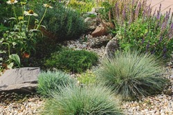 Decorated colorful flowerbed with stones as a decorative elements. Landscape design. High quality photo