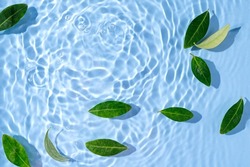 Green leaves on water surface. Beautiful water ripple background for product presentation. Copy space 