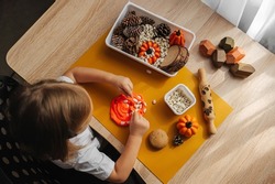 A little girl playing with autumn natural materials and play dough. Educational game for toddlers.  Montessori material. Sensory play ideas and fall nature crafts concept. 