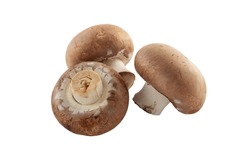 Three brown champignons or portobello mushrooms isolated on white.
