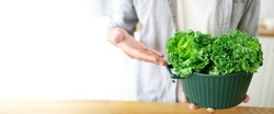 Close-up of a young man holding a bowl of lettuce Appetizing.Fresh vitamin green curly cabbage or kale salad leaves cut in the bowl on light background on the table in the kitchen.Banner cover design.
