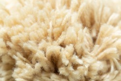 Raw Cotton Crops,Yarn spinning machine ,macro cotton,Background from the raw cotton fiber 