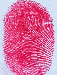 Macro red human finger,Red macro fingerprint,Bloody fingerprint as background, macro. Imprint of index finger