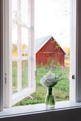 View through an old wooden white window, open window, bouquet of wild garlic in a vase and an old red wooden barn in the background, country life in Sweden