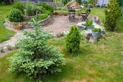 rustic garden -  spruce,  plants in tin tub, herb spiral, chairs and table