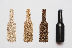 Beer bottles made from various malted grain, flat lay. Craft beer brewing from grain barley malt. Ingredients for brewers. 