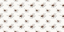 Seamless pattern with big spider isolated on white background. Large representative of the domestic arachnid. Fear or spider phobia. 8 legs. Copy space. Studio photo. Flower shape art concept.