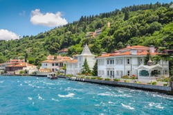 
Coast of the Princes' Islands. Turkey. Bosphorus. A bright sunny day, drowning in the greenery of the birch,  sea, small houses on the shore
