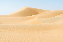 Sandformations and patterns in beautiful Liwa desert in United Arab Emirates.
