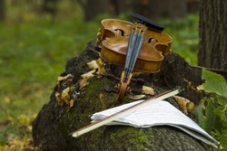 Violin lying on a fallen tree trunk on a background autumn forest