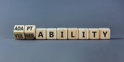 Vulnerability or adaptability symbol. Turned wooden cubes and changed words 'vulnerability' to 'adaptability'. Grey background, copy space. Business, vulnerability or adaptability concept.