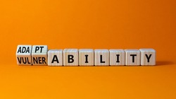 Vulnerability or adaptability symbol. Turned wooden cubes and changed words 'vulnerability' to 'adaptability'. Orange background, copy space. Business, vulnerability or adaptability concept.