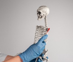 Doctor holding skeleton arm with red shoulder. Painful joints. Overuse, tendons injury, arthritis consequences. Skeletal system anatomy, medical education concept. High quality photo